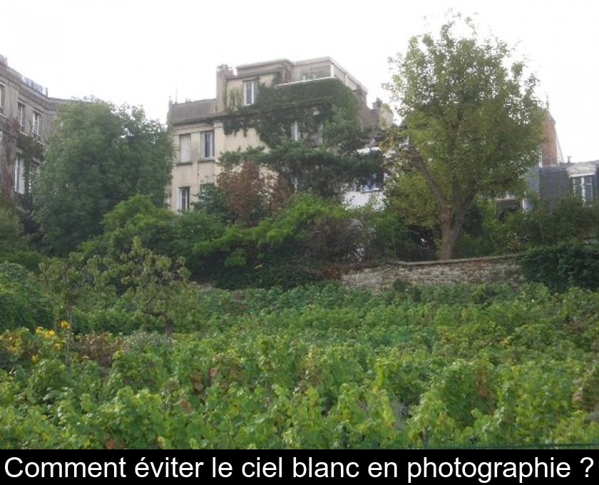 Comment éviter le ciel blanc en photographie ?