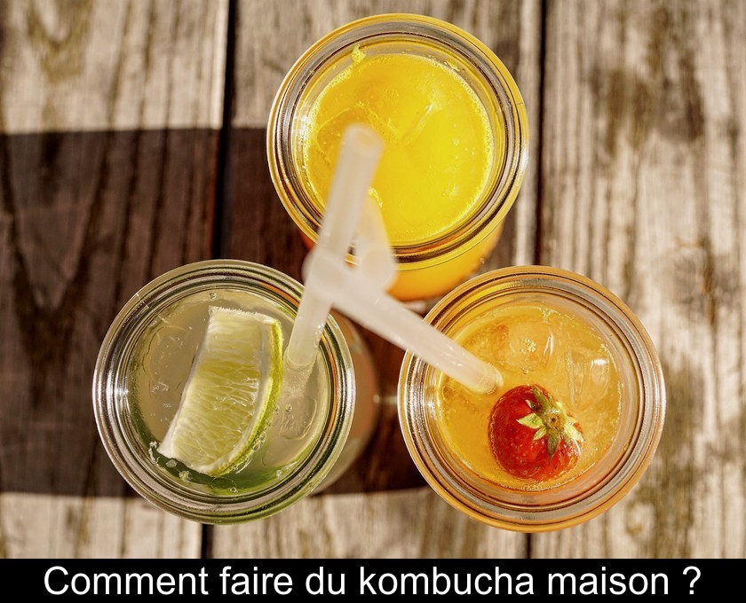 Comment faire du kombucha maison ?