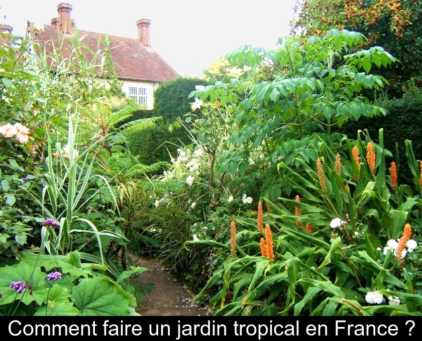 Comment faire un jardin tropical en France ? Comment faire un jardin tropical en France ?