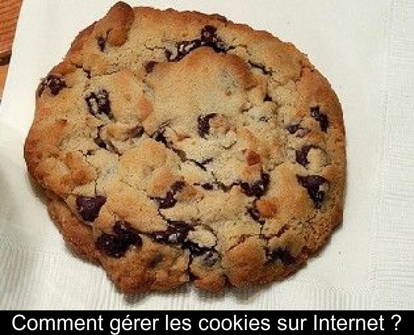 Comment gérer les cookies sur Internet ? Comment gérer les cookies sur Internet ?