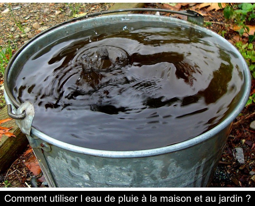 Comment utiliser l'eau de pluie à la maison et au jardin ?