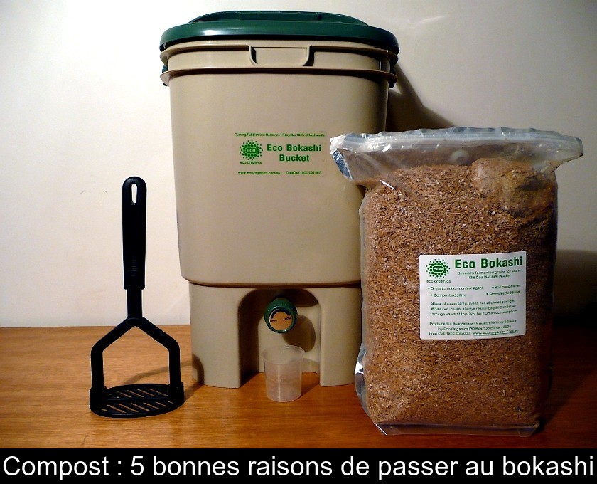 Compost : 5 bonnes raisons de passer au bokashi Compost : 5 bonnes raisons de passer au bokashi