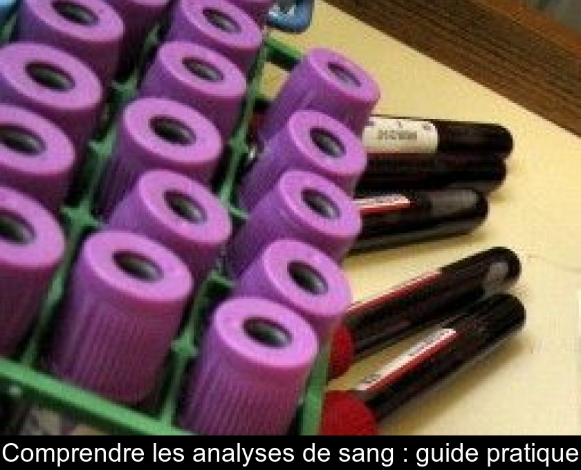 Comprendre les analyses de sang : guide pratique