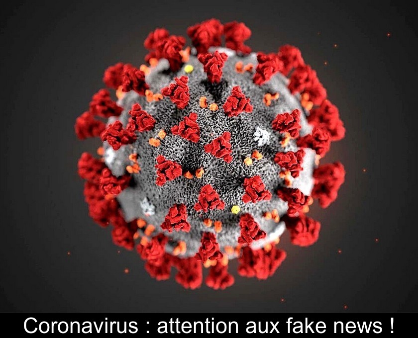 Coronavirus : attention aux fake news ! Coronavirus : attention aux fake news !