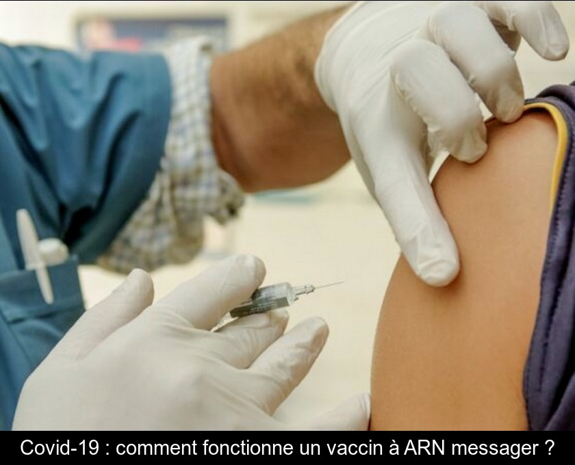 Covid-19 : comment fonctionne un vaccin à ARN messager ? Covid-19 : comment fonctionne un vaccin à ARN messager ?