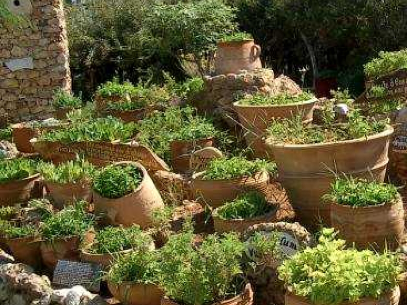 Créer un jardin d'herbes aromatiques : mode d'emploi Créer un jardin d'herbes aromatiques : mode d'emploi
