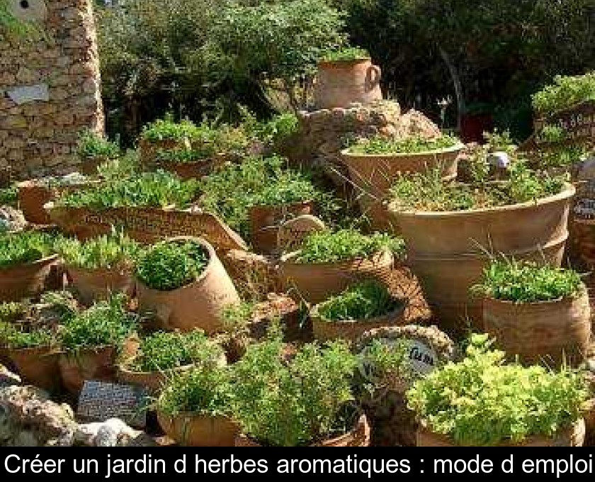 Créer un jardin d'herbes aromatiques - Floralux