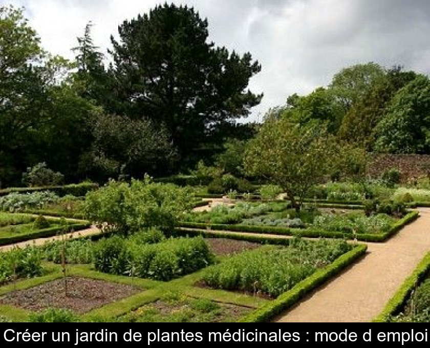 Créer un jardin de plantes médicinales : mode d'emploi Créer un jardin de plantes médicinales : mode d'emploi