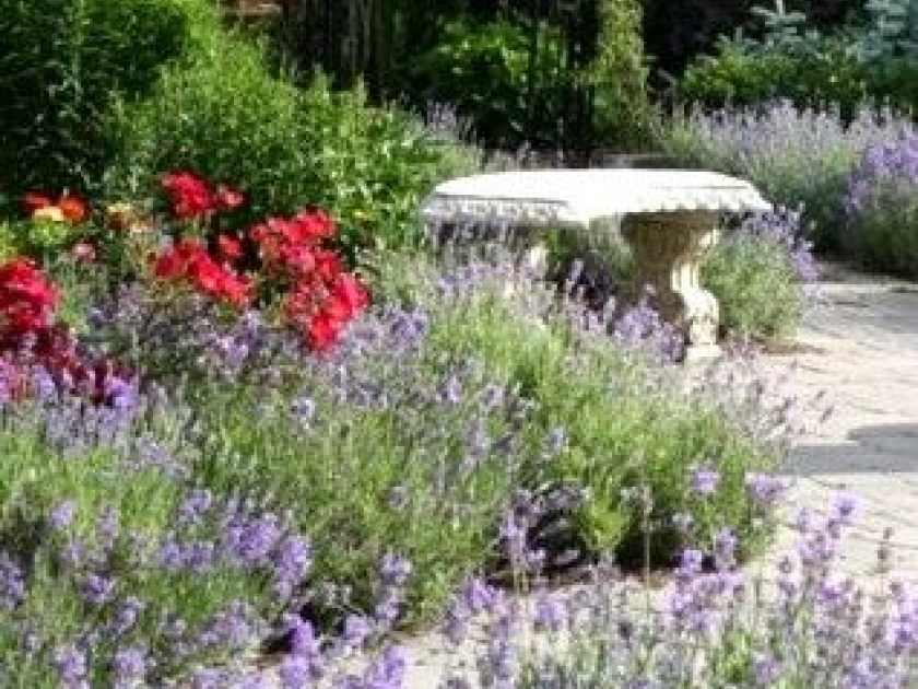 Créer un jardin parfumé : conseils et astuces Créer un jardin parfumé : conseils et astuces
