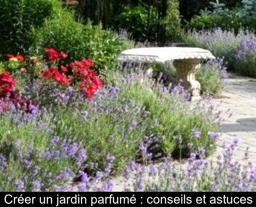 Créer un jardin parfumé : conseils et astuces Créer un jardin parfumé : conseils et astuces