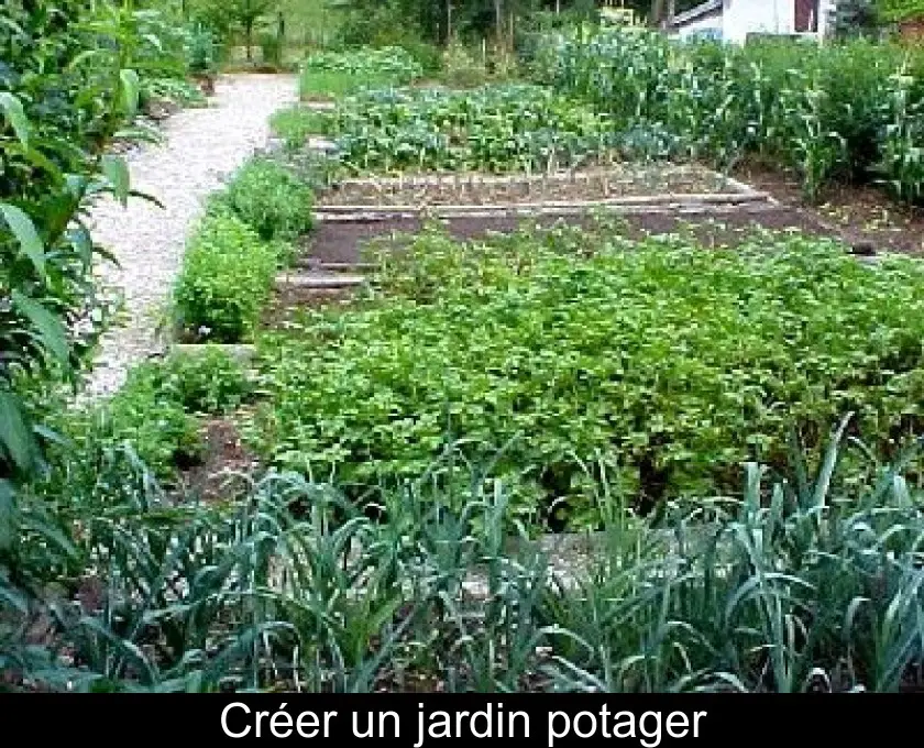 Créer un jardin potager