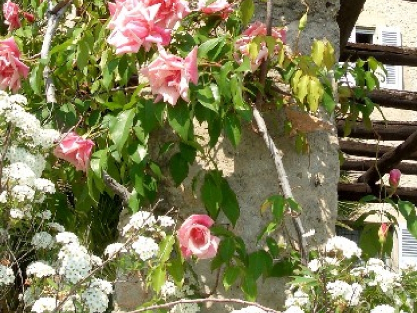 Créer un jardin romantique : mode d'emploi Créer un jardin romantique : mode d'emploi