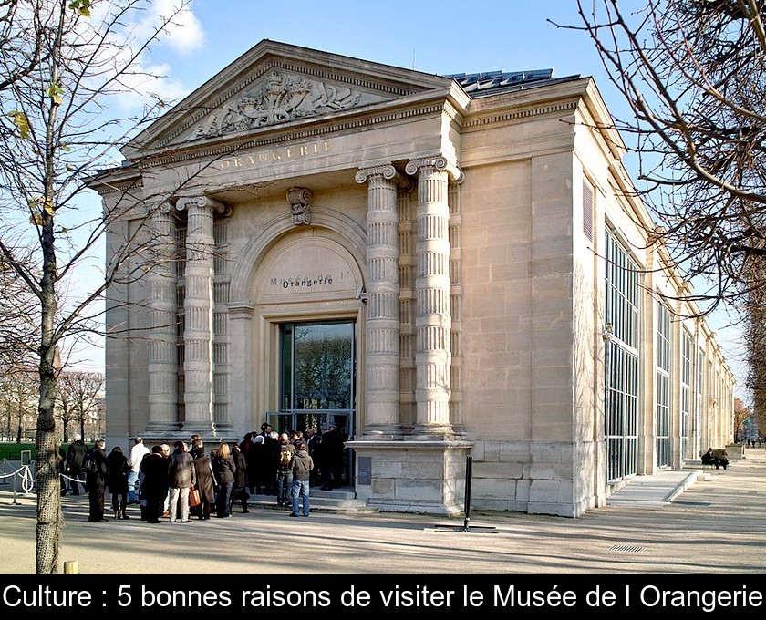 Culture : 5 bonnes raisons de visiter le Musée de l'Orangerie