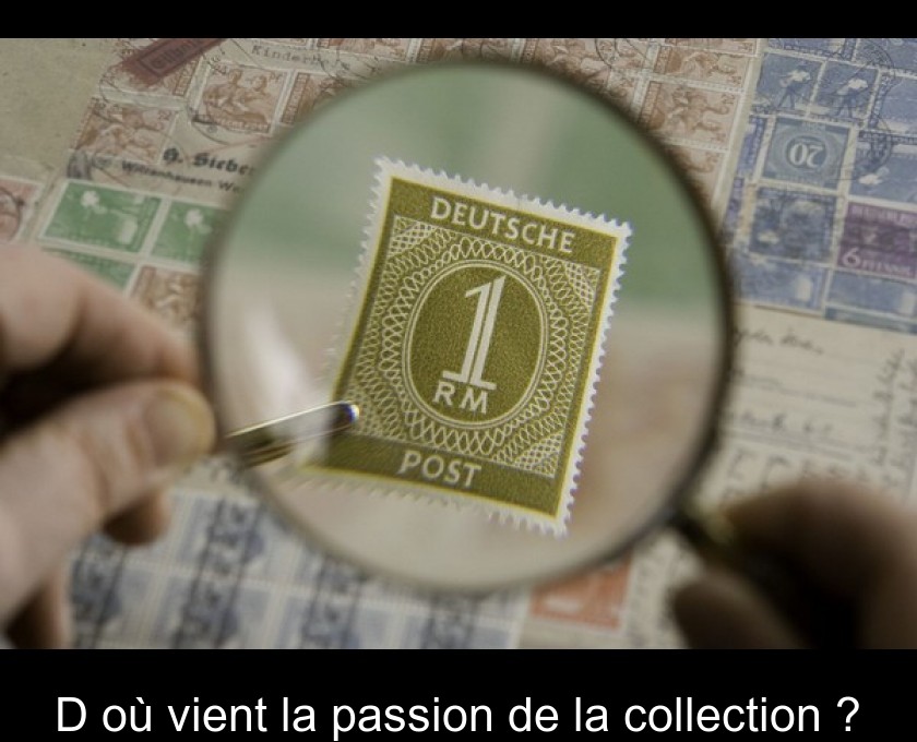 D'où vient la passion de la collection ? D'où vient la passion de la collection ?