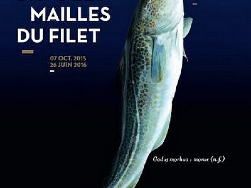 Dans les mailles du filet : une exposition au Musée de la marine Dans les mailles du filet : une exposition au Musée de la marine