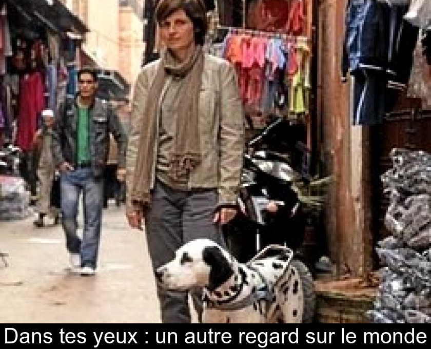 Dans tes yeux : un autre regard sur le monde Dans tes yeux : un autre regard sur le monde