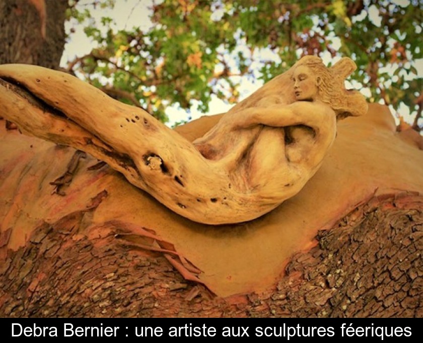 Les sculptures poétiques en bois flotté de l'artiste Debra Bernier