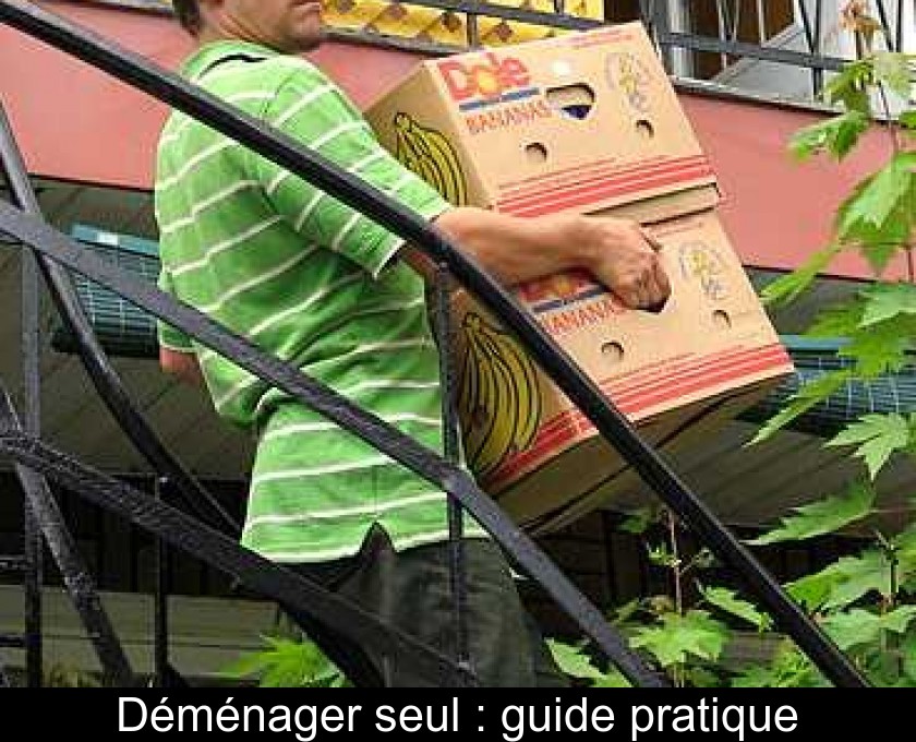 Déménager seul : guide pratique Déménager seul : guide pratique