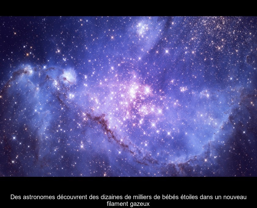 Des astronomes découvrent des dizaines de milliers de bébés étoiles dans un nouveau filament gazeux Des astronomes découvrent des dizaines de milliers de bébés étoiles dans un nouveau filament gazeux