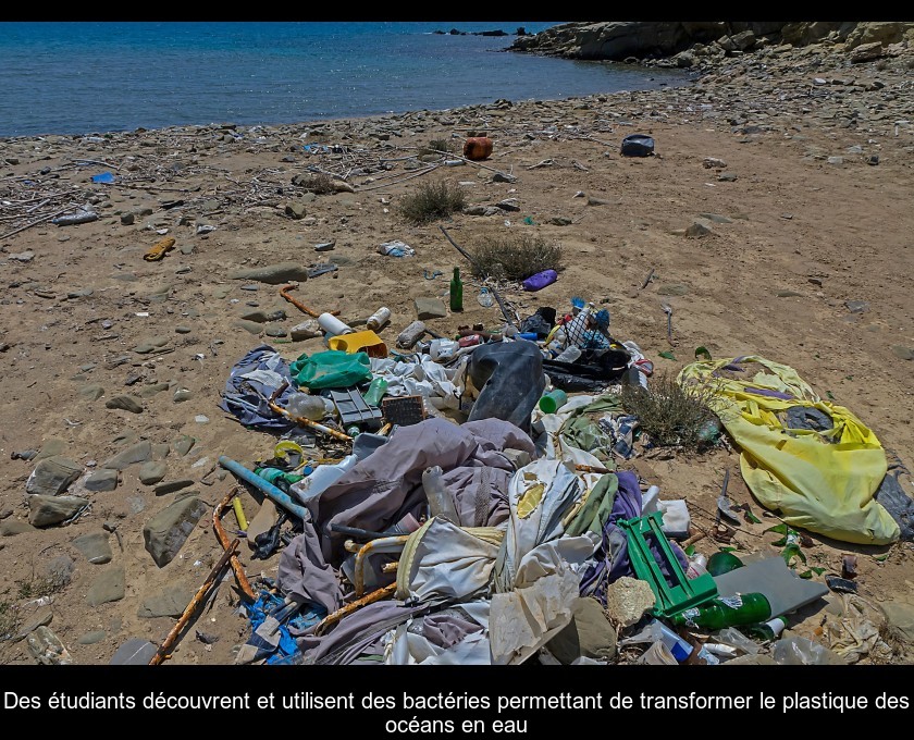 Des étudiants découvrent et utilisent des bactéries permettant de transformer le plastique des océans en eau Des étudiants découvrent et utilisent des bactéries permettant de transformer le plastique des océans en eau