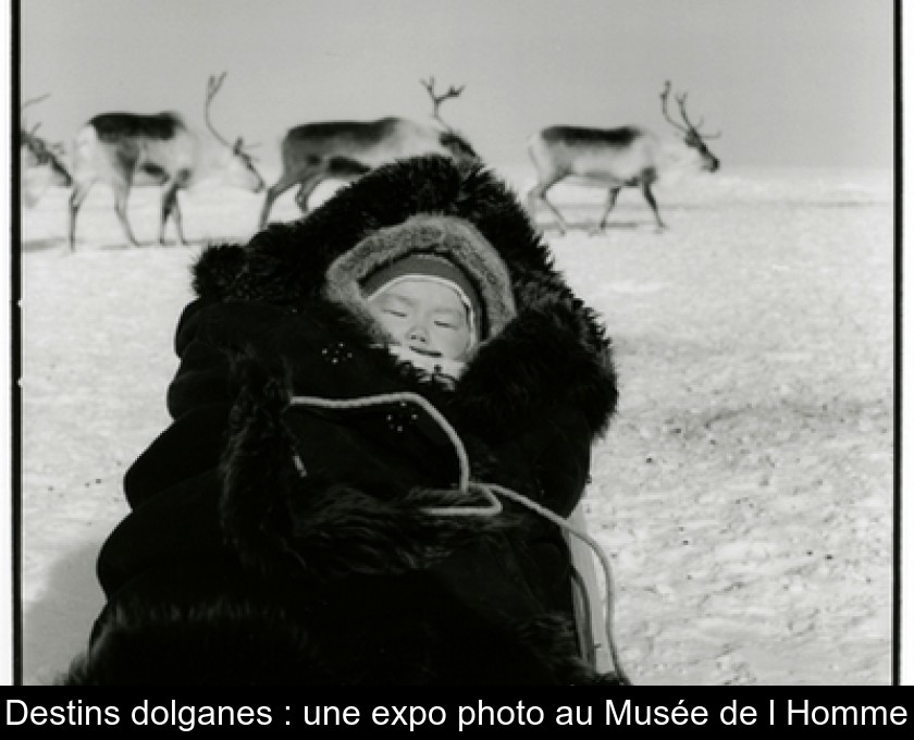 Destins dolganes : une expo photo au Musée de l'Homme Destins dolganes : une expo photo au Musée de l'Homme