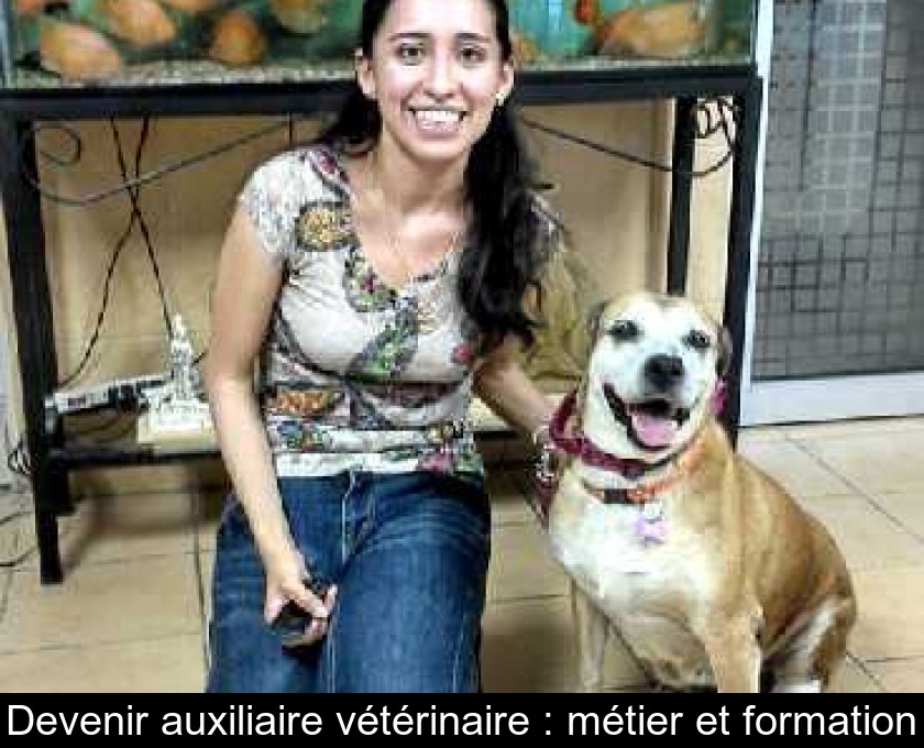 Devenir auxiliaire vétérinaire : métier et formation Devenir auxiliaire vétérinaire : métier et formation