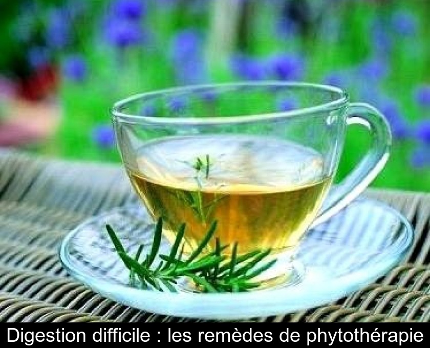 Digestion difficile : les remèdes de phytothérapie Digestion difficile : les remèdes de phytothérapie