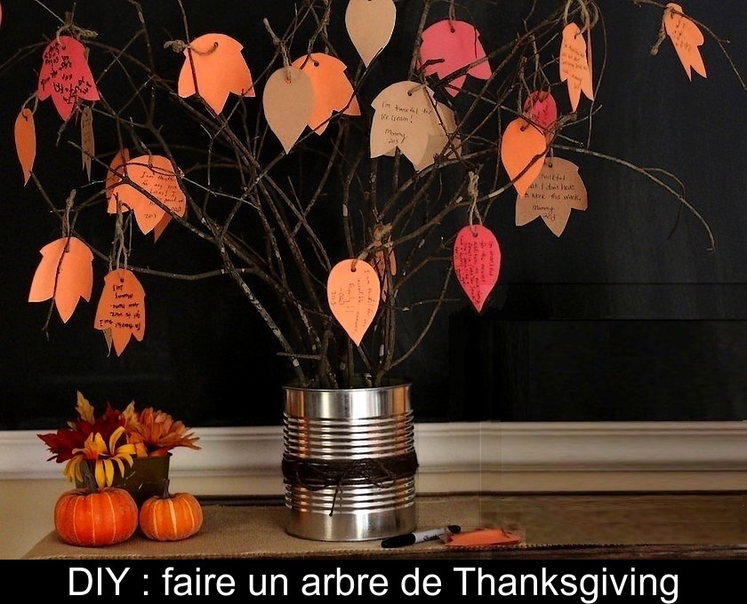 DIY : faire un arbre de Thanksgiving DIY : faire un arbre de Thanksgiving