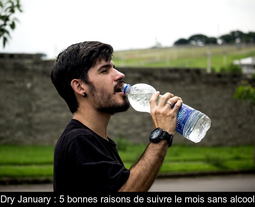 Dry January : 5 bonnes raisons de suivre le mois sans alcool Dry January : 5 bonnes raisons de suivre le mois sans alcool