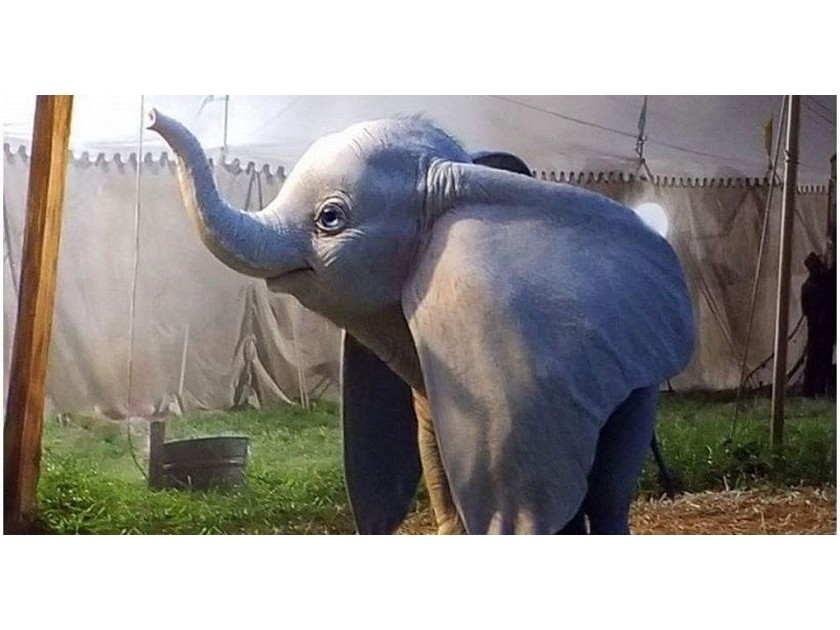 Dumbo : 5 choses à savoir sur le remake de 2019 Dumbo : 5 choses à savoir sur le remake de 2019