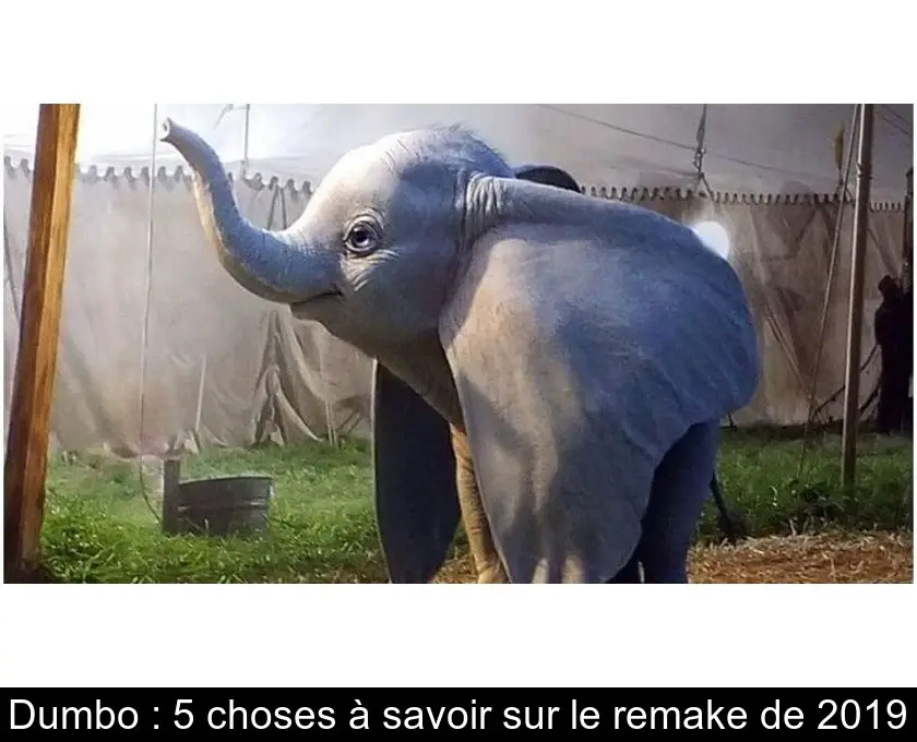 Dumbo : 5 choses à savoir sur le remake de 2019