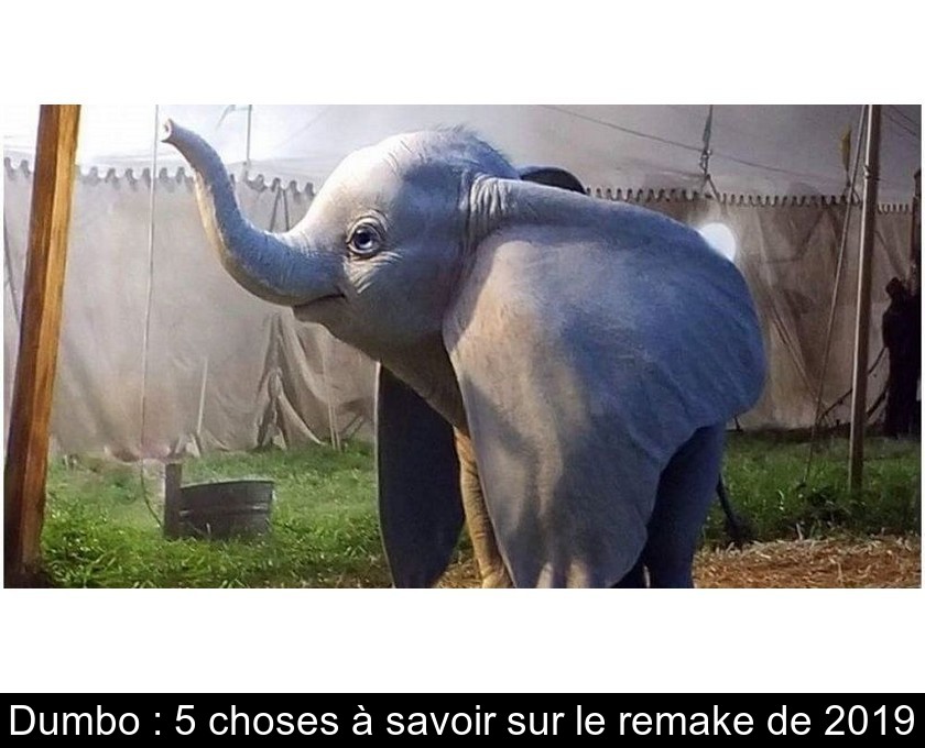 Dumbo : 5 choses à savoir sur le remake de 2019 Dumbo : 5 choses à savoir sur le remake de 2019