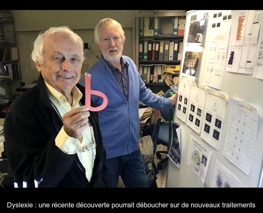 Dyslexie : une récente découverte pourrait déboucher sur de nouveaux traitements Dyslexie : une récente découverte pourrait déboucher sur de nouveaux traitements