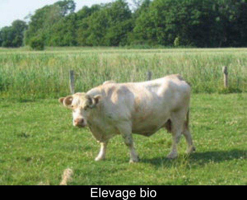 Elevage bio Elevage bio