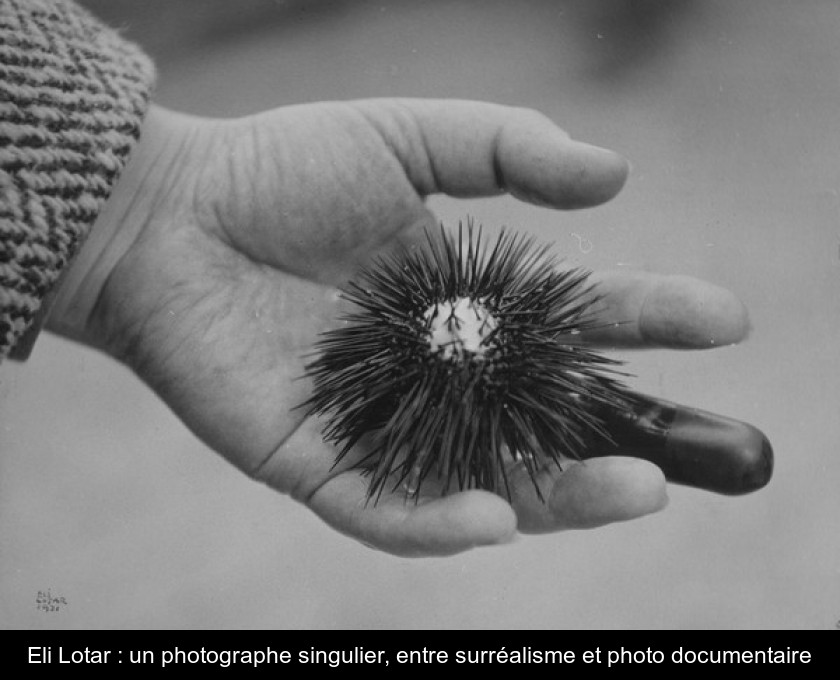 Eli Lotar : un photographe singulier, entre surréalisme et photo documentaire