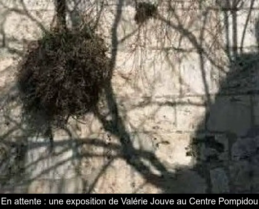 En attente : une exposition de Valérie Jouve au Centre Pompidou