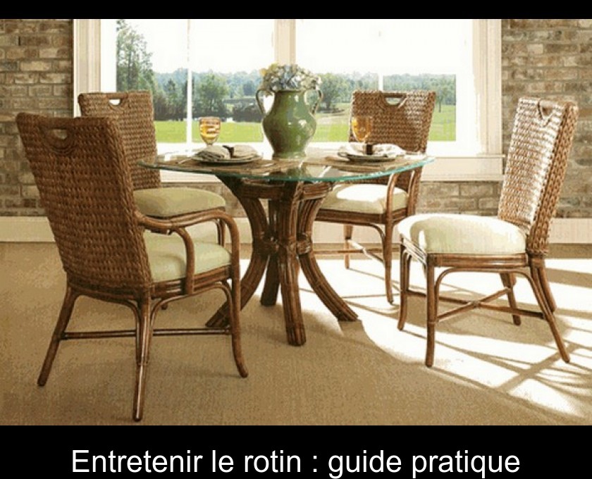 Entretenir le rotin : guide pratique Entretenir le rotin : guide pratique