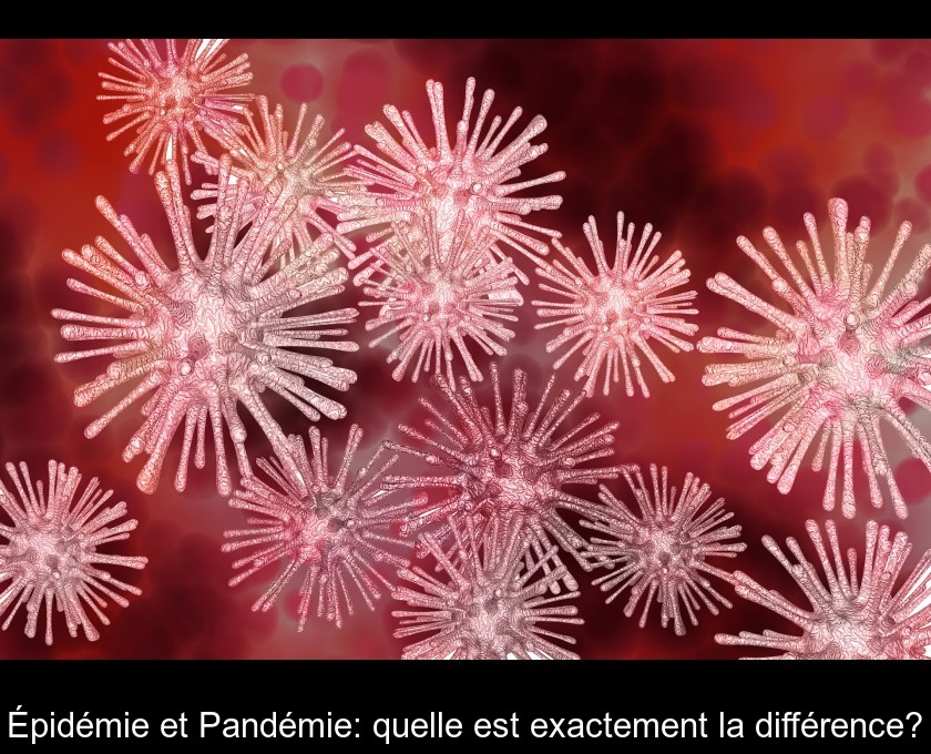 Épidémie et Pandémie: quelle est exactement la différence? Épidémie et Pandémie: quelle est exactement la différence?