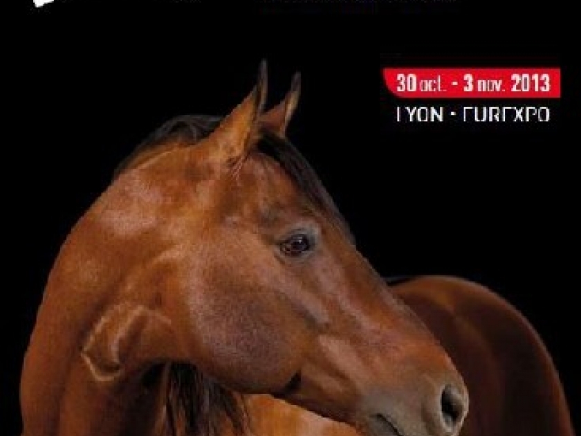 Equita'Lyon : le salon du cheval en région Rhône-Alpes Equita'Lyon : le salon du cheval en région Rhône-Alpes