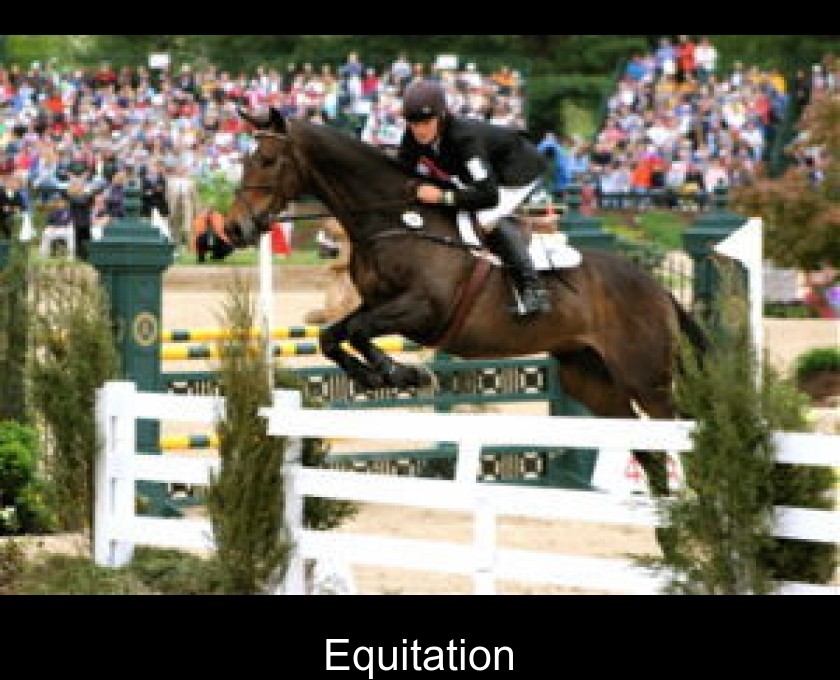 Equitation Equitation