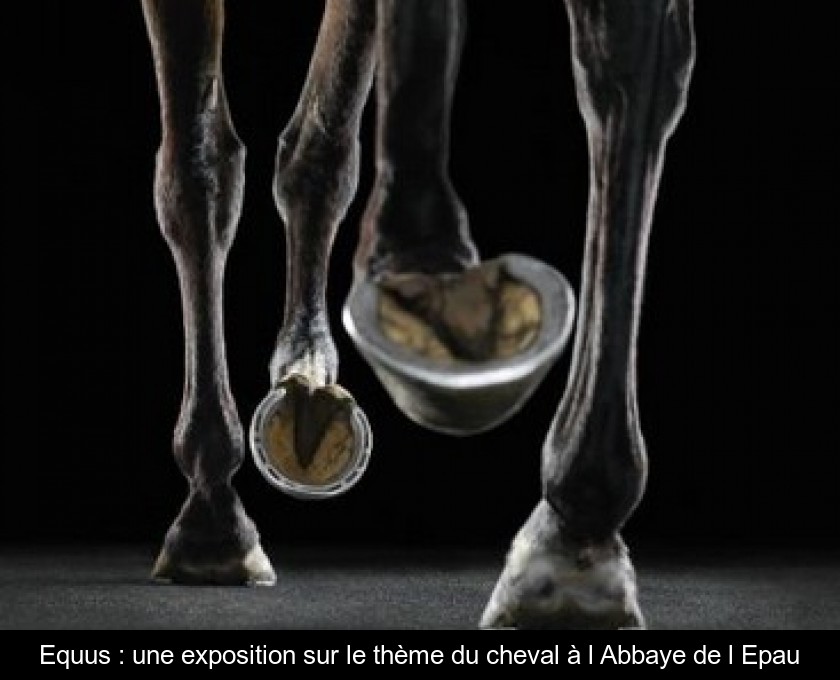 Equus : une exposition sur le thème du cheval à l'Abbaye de l'Epau