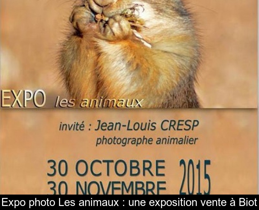 Expo photo Les animaux : une exposition vente à Biot Expo photo Les animaux : une exposition vente à Biot