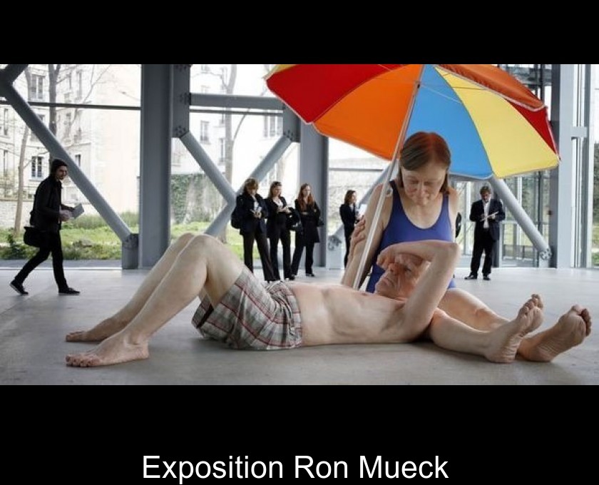 Exposition Ron Mueck Exposition Ron Mueck