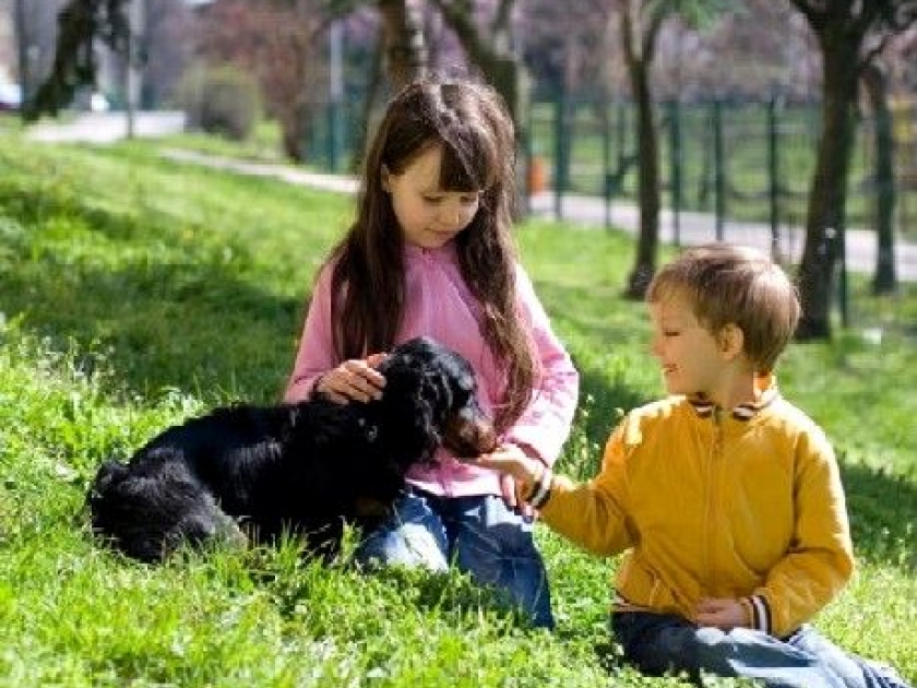 Dogs Act Like Toddler Dogs Act Like Toddler