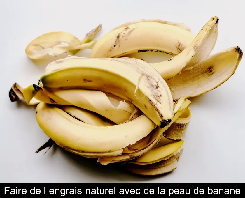 Faire de l'engrais naturel avec de la peau de banane