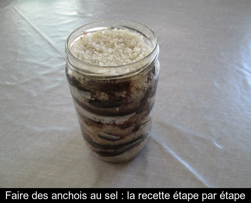 Faire des anchois au sel : la recette étape par étape Faire des anchois au sel : la recette étape par étape