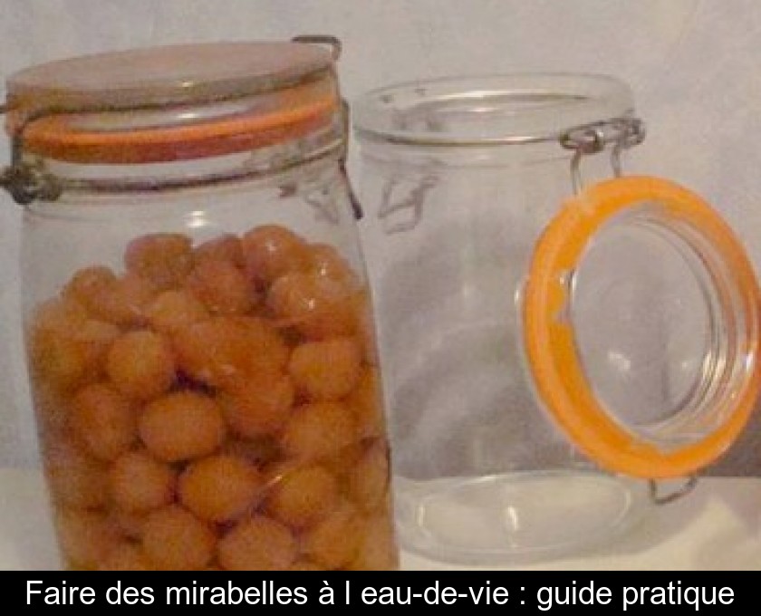 Faire des mirabelles à l'eau-de-vie : guide pratique Faire des mirabelles à l'eau-de-vie : guide pratique