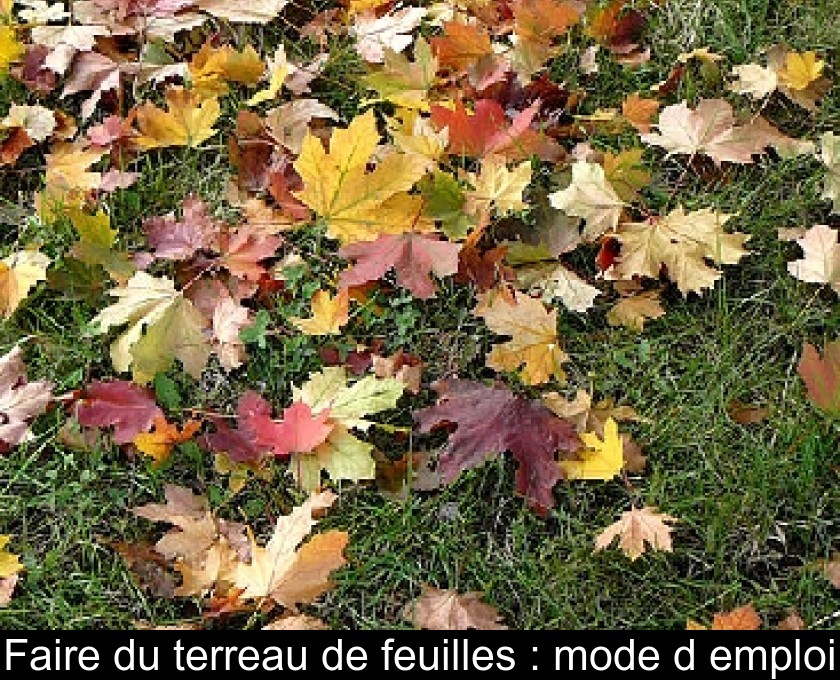 Faire du terreau de feuilles : mode d'emploi