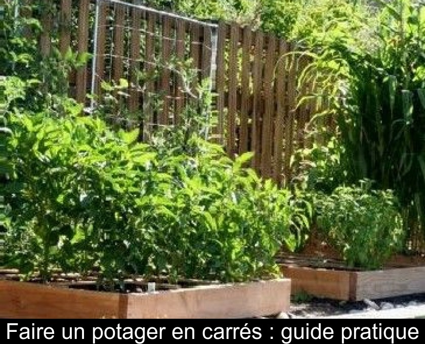Faire un potager en carrés : guide pratique Faire un potager en carrés : guide pratique