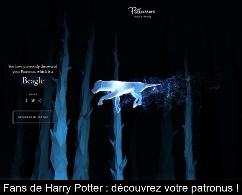 Fans de Harry Potter : découvrez votre patronus ! Fans de Harry Potter : découvrez votre patronus !